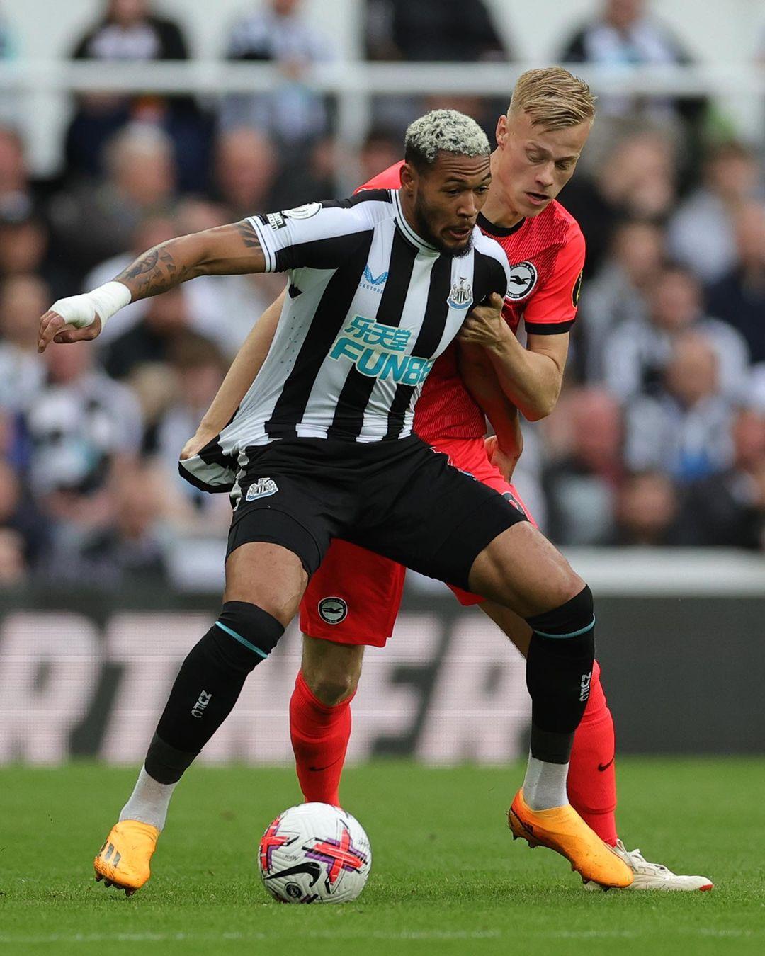 视的经历 视的经历